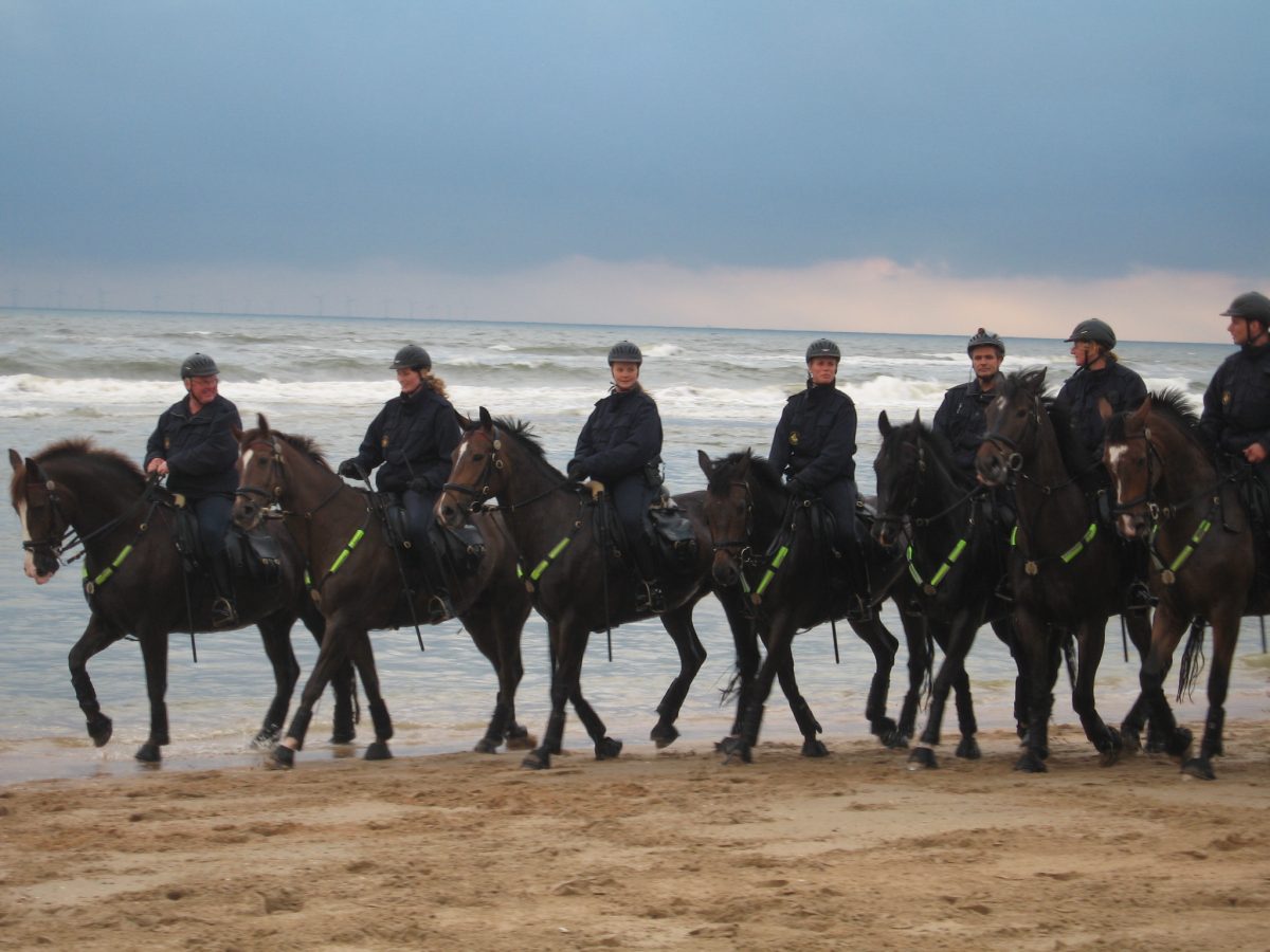 Realityserie “ Politie te Paard”