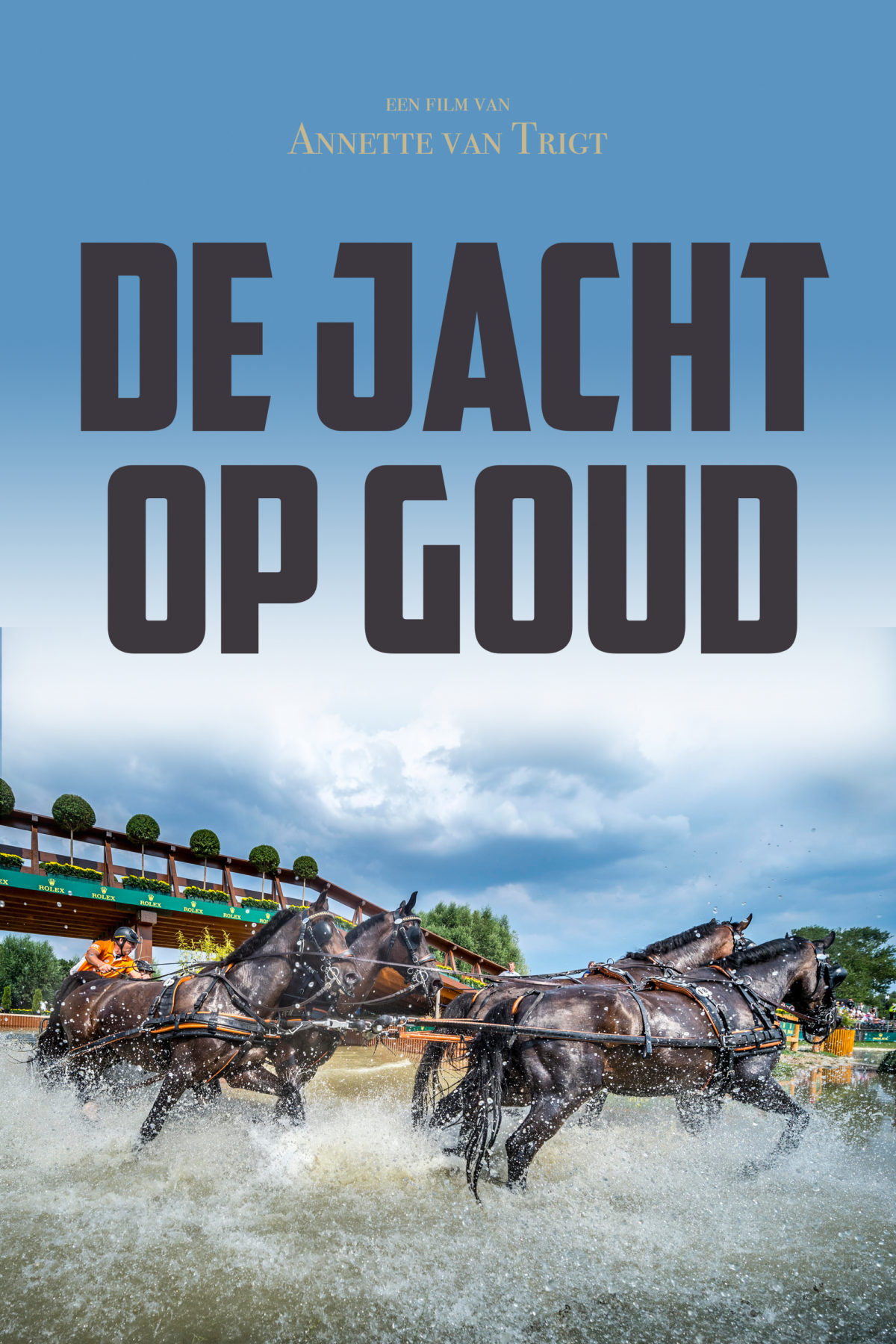 De Jacht op Goud